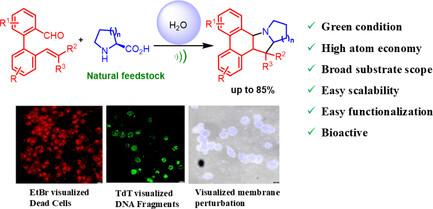 Ultrasound-Assisted In-Water [3 + 2] Cycloaddition for the Synthesis of Fused Pyrrolizidine and Indolizidine Scaffolds with Anticancer Activity
