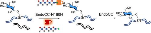 A Reversible Chemoenzymatic Labeling Strategy for Profiling of Protein O-Glucosylation