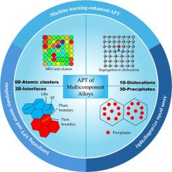Atom probe tomography of multicomponent alloys: Insights into chemical and morphological complexity