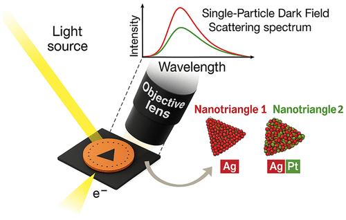 Structure–Property Analysis of Bimetallic Plasmonic Nanoparticles Using Correlative Optical and Electron Microscopy