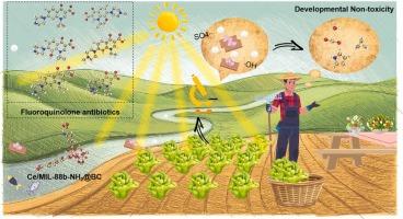 DFT-guided design of biochar-based composites for photocatalytic degradation of fluoroquinolone antibiotics in soil-water systems: Non-targeted metabolomics and structural equation modeling