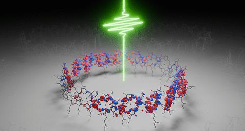 Time-Resolved Ultrafast Excitation Dynamics in the B850 Light-Harvesting Antenna from Density Functional Theory