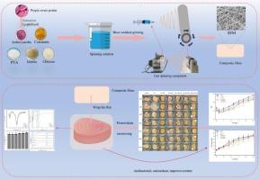 Preparation of tuna skin gelatin–polyphenol intelligent packaging film and its application in the preservation of tuna