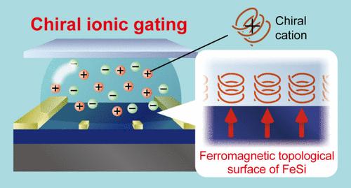 Electric-Field Control of Two-Dimensional Ferromagnetic Properties by Chiral Ionic Gating