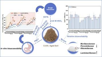 Integrated assessment of chromium exposure risk from agricultural soils using chemical extraction, in vitro simulation, and mouse bioassay