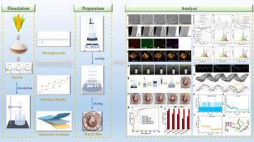 Tailoring starch-based films with monoglyceride and montmorillonite: Molecular interactions, hydrophobicity, and barrier properties