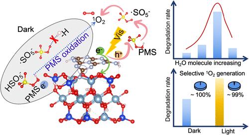 Water-Modulated Construction of Nanoclay/g-C3N4 Heterostructures for Selective Generation of Singlet Oxygen in Peroxymonosulfate Activation Processes
