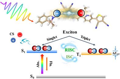 Regulating Exciton Dynamics in Organic Polymer Photocatalysts with Dual-Polarization Structure