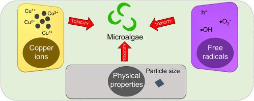 Unveiling the toxicity mechanism of copper tungstate (CuWO4) particles on the microalga Raphidocelis subcapitata assessed by multiple endpoints