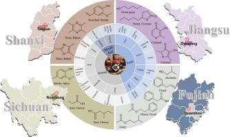 Unraveling sensory differences among the four famous traditional Chinese vinegars at the molecular level