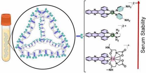 Structural Basis for the Stabilization of DNA Nanostructures in Serum with Metallointercalators.