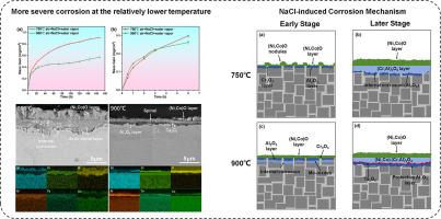 Unveiling the anomalous temperature-dependent corrosion behavior of nickel-based single-crystal alloy in a NaCl-aerosol atmosphere
