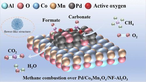 A Novel Strategy To Enhance Methane Combustion Performance and Stability of Flower-Like Al2O3–Supported Pd Catalysts by Modification with Co5Mn1Ox, LaCoO3, or Ce0.6Zr0.4O2