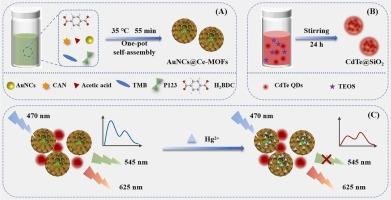AuNCs@Ce-MOFs/CdTe@SiO₂: Preparation and application of a novel ratiometric fluorescent composite for the detection of Hg²+