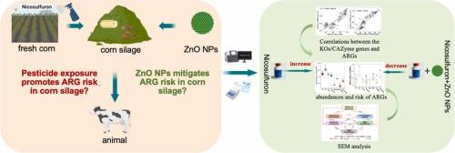 Nicosulfuron-driven antibiotic resistance in corn silage: Effect and its mitigation by zinc oxide nanoparticles