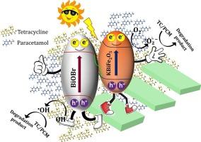 In-situ engineered KBiFe2O5/BiOBr Z-scheme heterojunction photocatalyst for the pharmaceutical pollutant degradation and nitrogen fixation