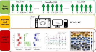 Chemical composition characteristics and monthly variation patterns of oleoresins from five introduced pine species