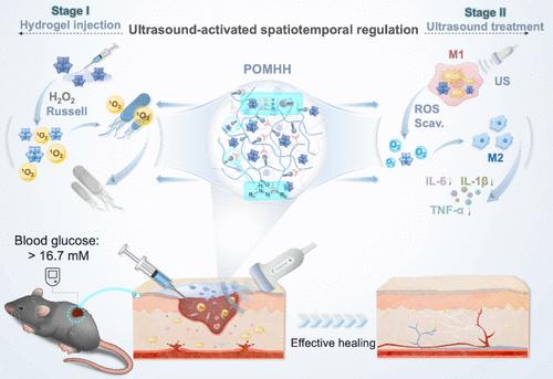 Hydrogel-Powered Adversity Transformation: On-Demand Ultrasonic Switching Strategy for Accelerating Diabetic Wound Healing