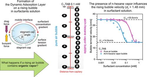 Effect of Organic Vapors on the Behavior of Air Bubbles in Solutions of Nonionic and Ionic Surfactants