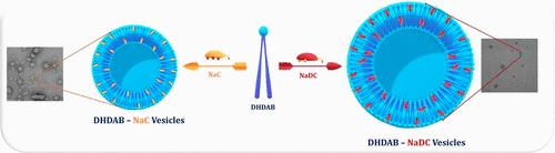 Synergistic Micellization and Vesicle Formation in Bile Salts and Dihexadecyldimethylammonium Bromide Mixed Systems