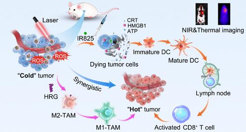 Spatiotemporally Controlled Nanomicelles for Synergistic Phototherapy and Immune Reprogramming in Triple-Negative Breast Cancer