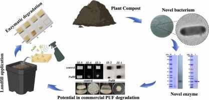 PufH: A promising biocatalyst for the recycling and bioremediation of polyurethane foam waste