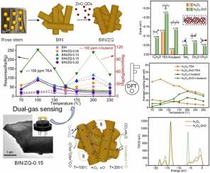 ZnO QDs sensitized bio-templated In2O3 microtubes for low temperature dependent selective detection of triethylamine and N-butanol