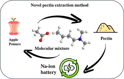 Pectin Extracted by a Recyclable Molecular Mixture: A Promising Material for Porous Membranes in Quasi-Solid-State Na-Ion Batteries