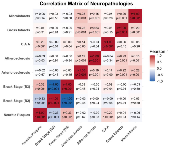 Micro infarcts are associated with cognitive impairment in neurofibrillary tangle predominant decedents: evidence from the NACC autopsy cohort.