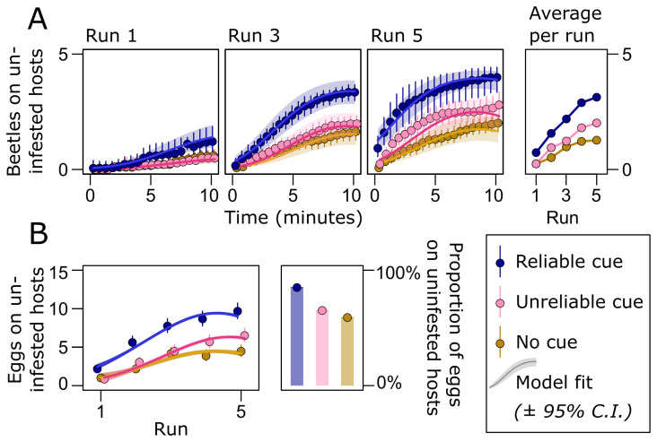 The reliability of environmental cues shape learning and selection against deleterious alleles in seed beetles.