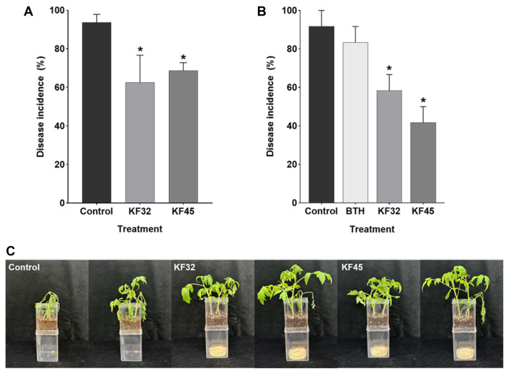 Volatile Organic Compounds from Pseudomonas koreensis KF32 and P. fitomaticsae KF45 Suppress Ralstonia pseudosolanacearum and Reduce Bacterial Wilt in Tomato.