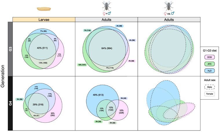 Direct and transgenerational effects of tetracyclines on the microbiome, transcriptome, and male mating behavior of the sheep blowfly Lucilia cuprina.