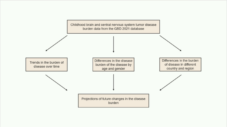 Global, regional, and national childhood brain and central nervous system cancer burden: an analysis based on the Global Burden of Disease Study.