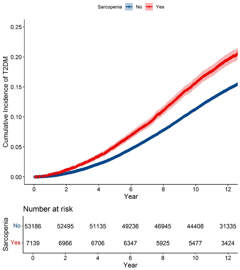 Relationship between sarcopenia and type 2 diabetes mellitus among adults with prediabetes: evidence from a prospective cohort study.