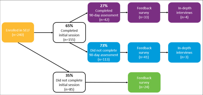 Programme evaluation of Strategies to Embrace Living with Lupus Fearlessly (SELF): an evidence-based digital programme to build and improve lupus self-management skills.