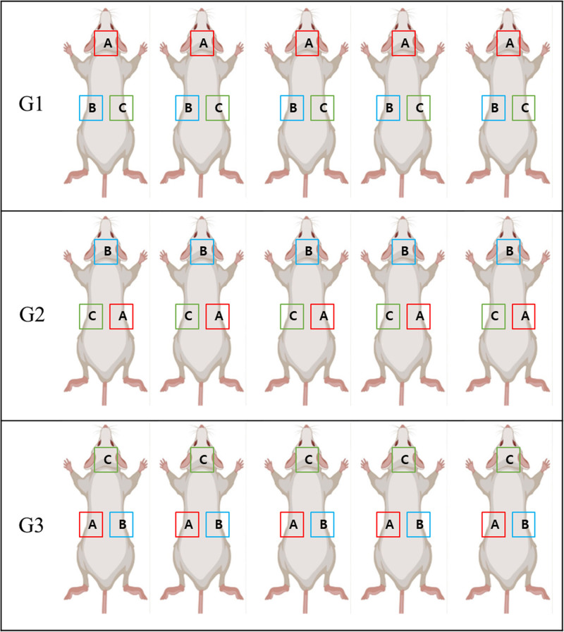 Comparative Study of Inflammatory and Fibrotic Reactions Induced by Silicone Implants with Different Hardness.