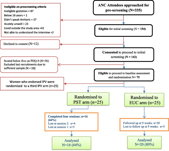 Brief problem-solving therapy (PST) for women experiencing antenatal depressive symptoms: a randomised, controlled feasibility trial in (an) antenatal care setting in rural Ethiopia.