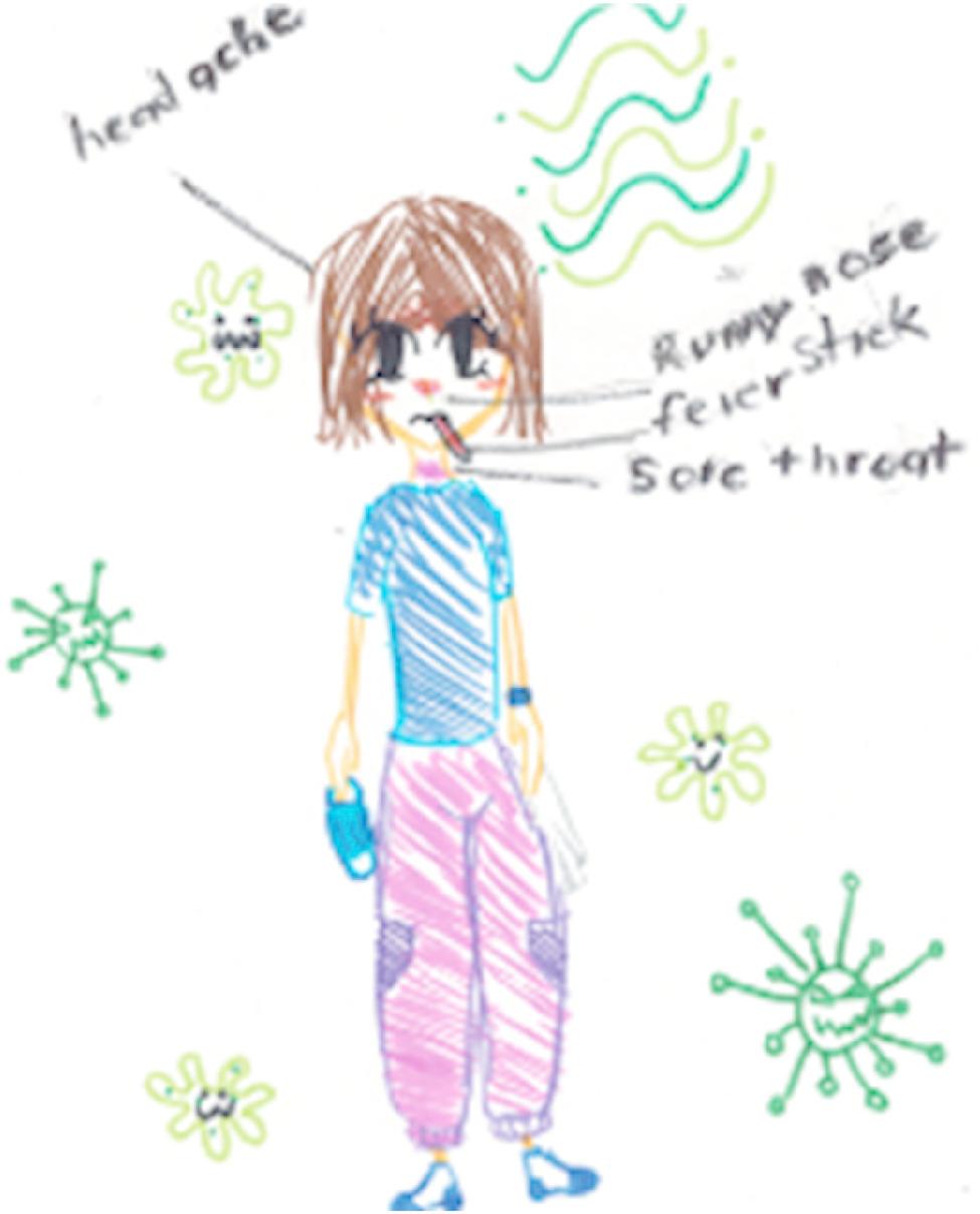 New Zealand school children's perspectives on influenza: listening to young voices in respiratory health.