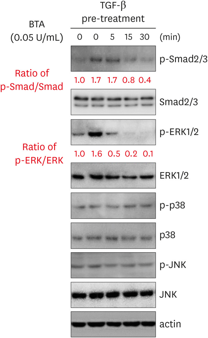 Botulinum Toxin A Modulates Keratinocyte Proliferation and Inflammatory and Pruritic Mediators in Wound Healing.