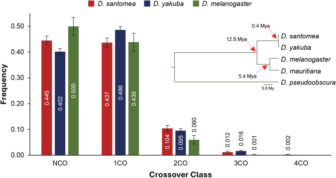 A high-resolution crossover landscape in Drosophila santomea reveals rapid and concerted evolution of multiple properties of crossing over control.