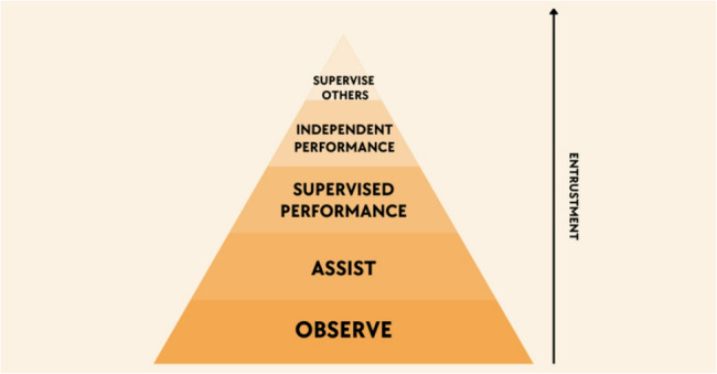 Skill progression models in emergency medicine training: a narrative review and the development of the OASIS framework.