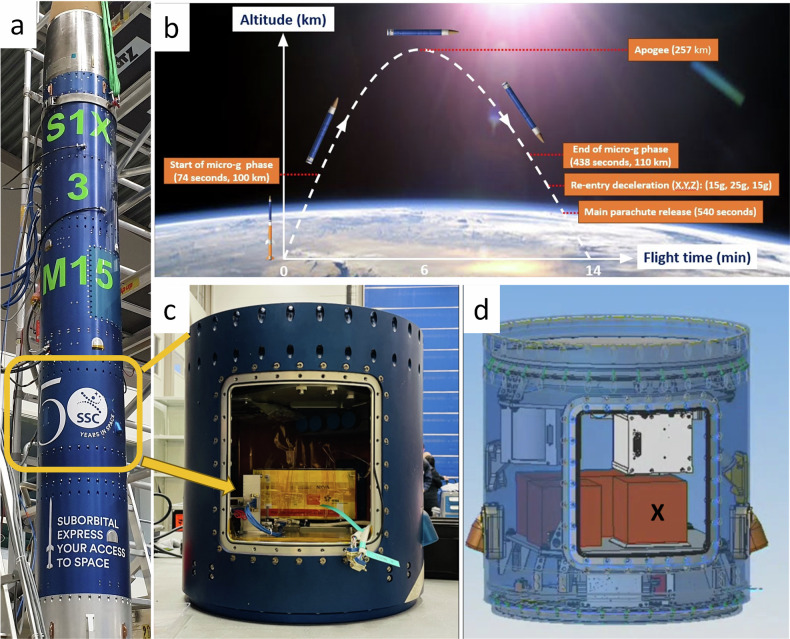Effects of extreme acceleration, microgravity, and deceleration on Bacillus subtilis onboard a suborbital space flight.