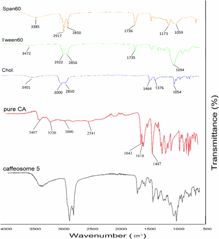 Antifungal efficacy of caffeic acid and nano-caffeic acid particles against candidiasis: an <i><b>in vitro</b></i> study.