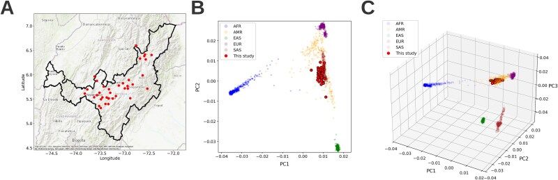 Refining rare disease variant discovery in an isolated Andean community through imputation-enhanced IBD and kinship inference from whole exome sequencing data.