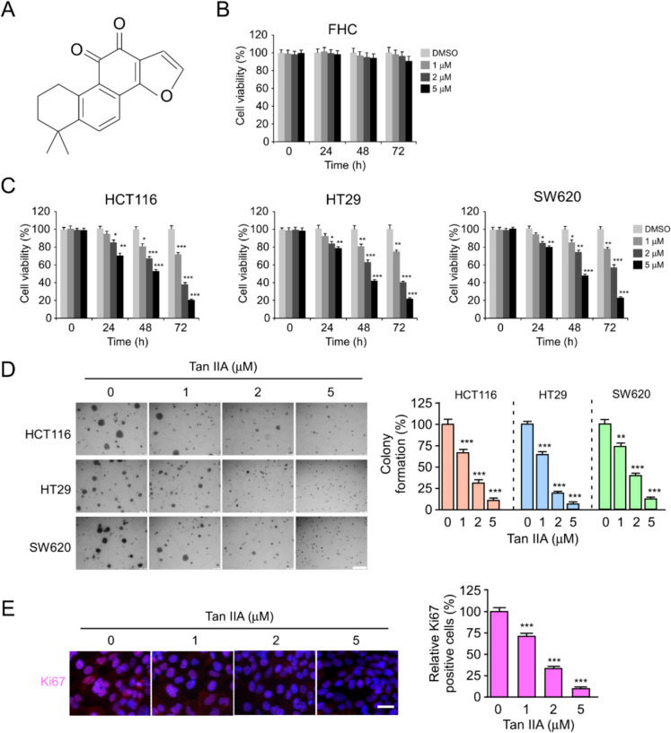Targeting Skp2 by Tanshinone IIA overcomes chemoresistance in colorectal cancer.