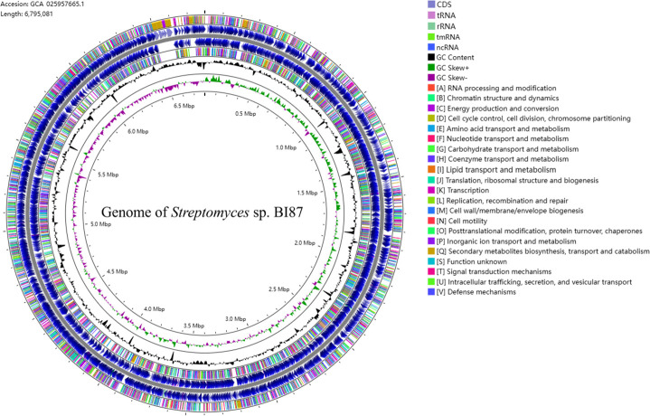 <i>Streptomyces</i> sp. BI87 from human gut: potent anticancer activities and divergence from known <i>Streptomyces</i> lineages.