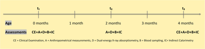 Growth factors, body composition and energy expenditure in late preterm and term infants during the first 4 months of life: a prospective cohort study.