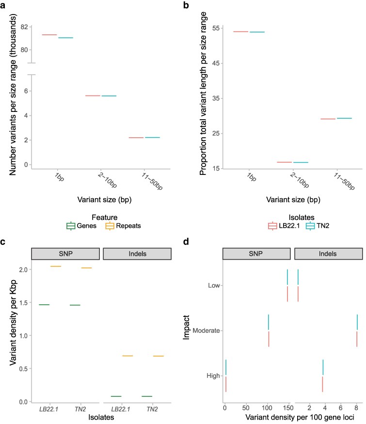 Genomic insights into the virulence repertoire and hemibiotrophic lifestyle of the grapevine black rot pathogen Phyllosticta ampelicida.