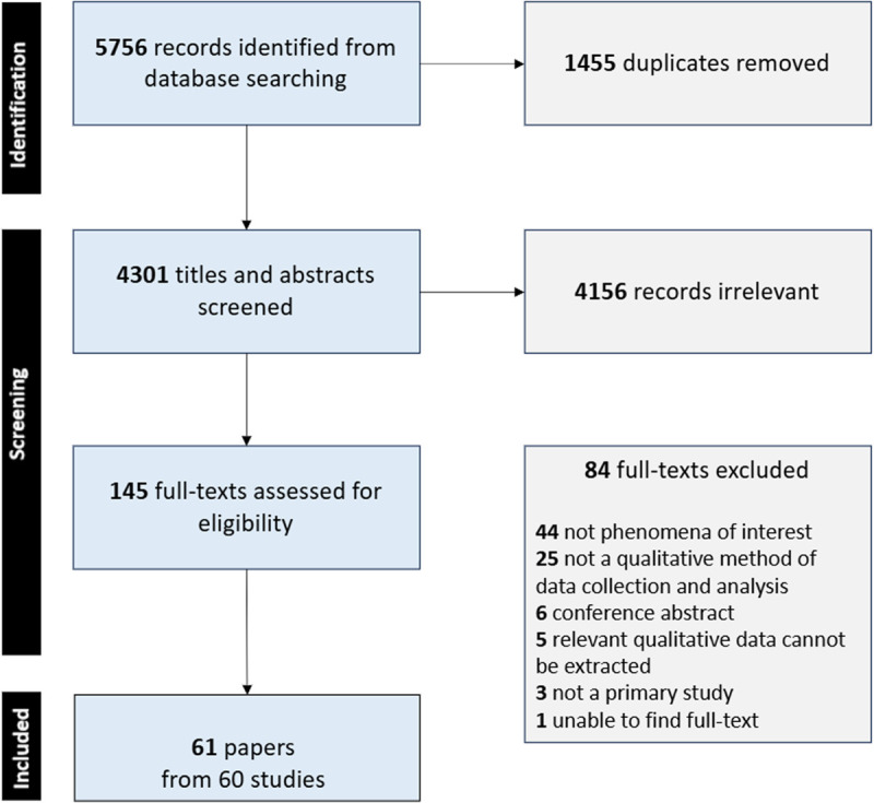 Perceptions and experiences of the prevention, testing, and treatment of anaemia in pregnant women: A qualitative evidence synthesis.