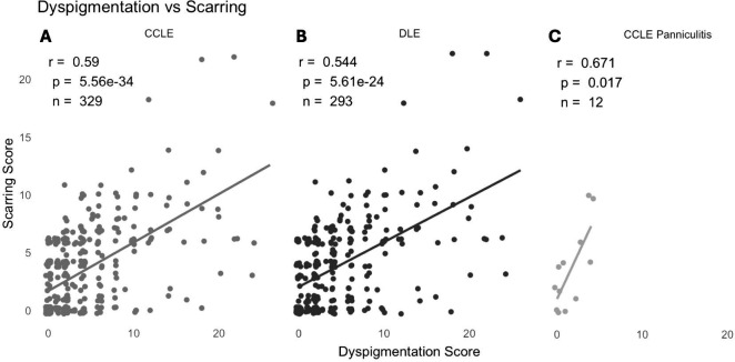 Dyspigmentation and scarring in cutaneous lupus erythematosus.